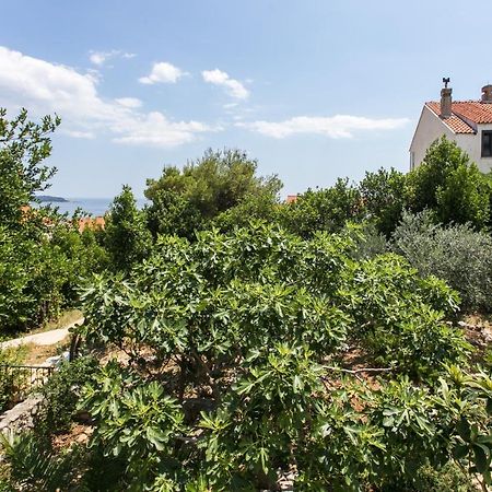Apartment Tetepave Dubrovnik Eksteriør billede